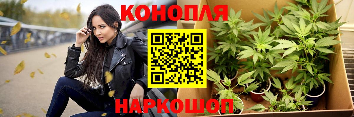 Бошки марихуана гибрид  Бошки Шишки индика  МАРИХУАНА Amnesia  Кудымкар  Вход с VPN 